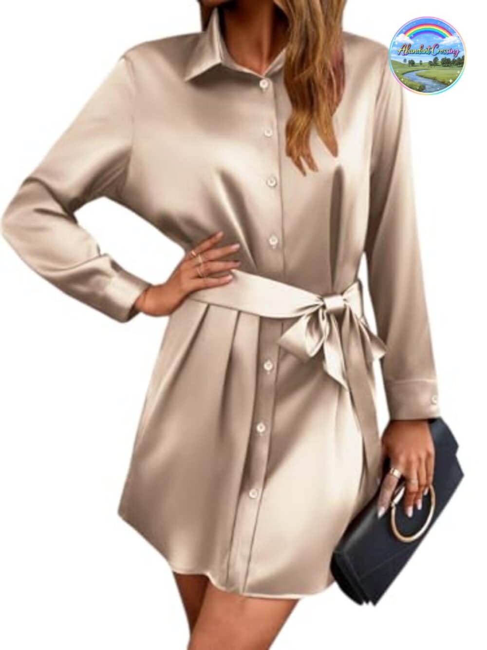 Satin Button Down Long Sleeve Shirt Dress V-Neck Mini with Belt